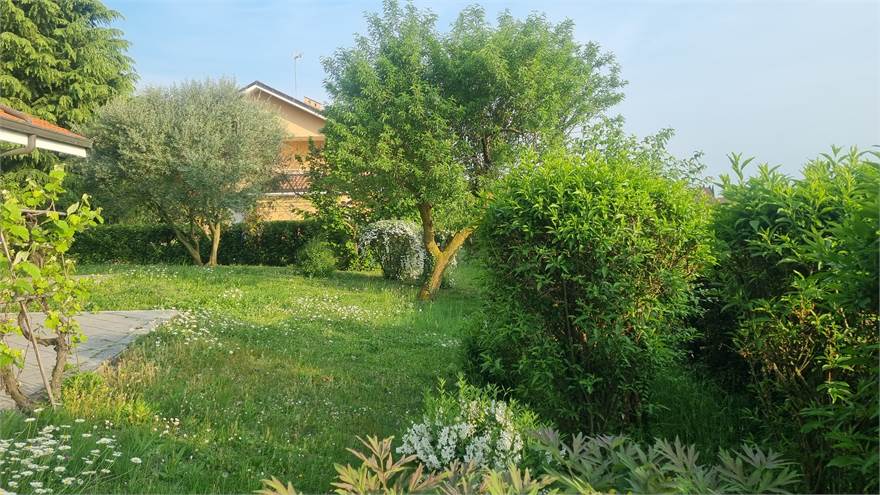 Photo 29